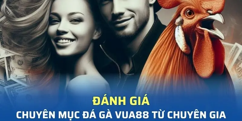 Những ưu điểm giúp chuyên mục thu hút thành viên