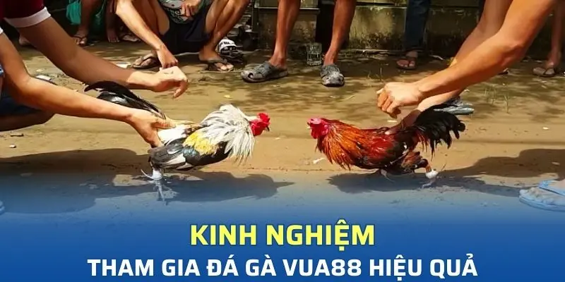 Những kinh nghiệm tham gia dự đoán trận đấu chính xác