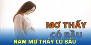 Giải Mã Nằm Mơ Thấy Có Bầu Theo Số Học